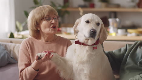 Cheerful-Elderly-Couple-Petting-Cute-Dog-on-Sofa